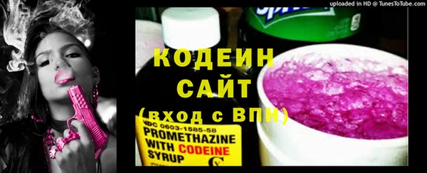 крисы Бородино