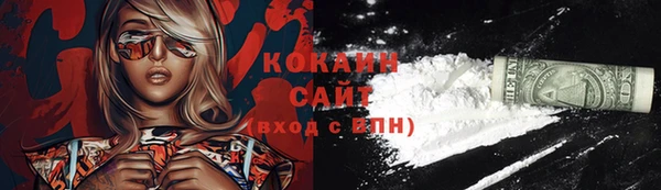 дживик Бронницы