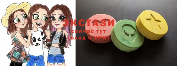 крисы Бородино