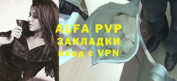 крисы Бородино