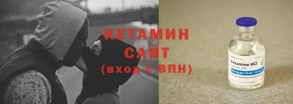 крисы Бородино