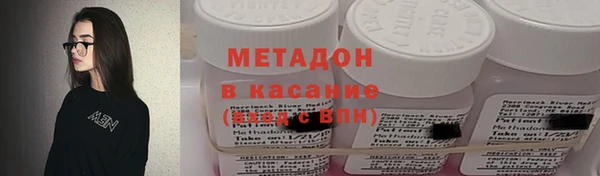 крисы Бородино