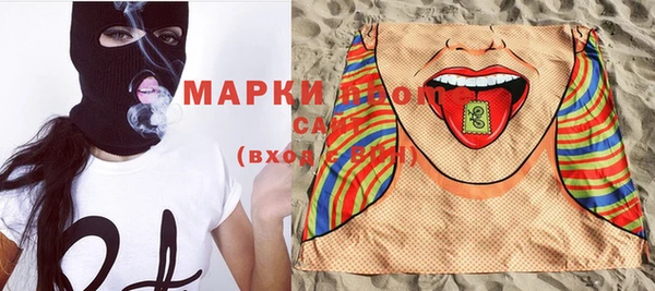 дживик Бронницы