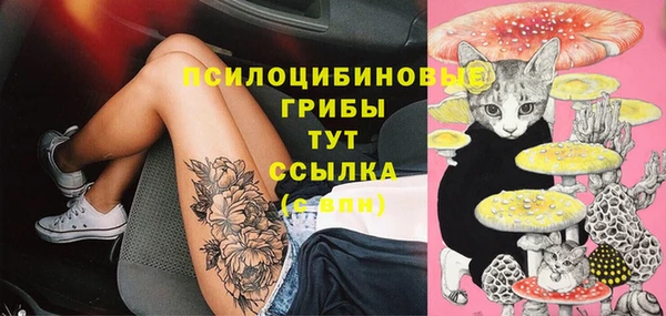 a pvp Верея