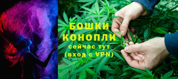 дживик Бронницы