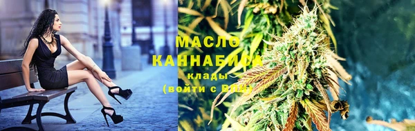 крисы Бородино