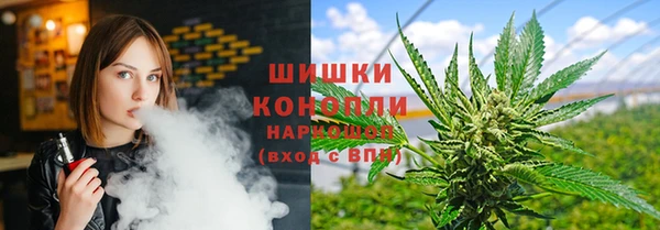 крисы Бородино
